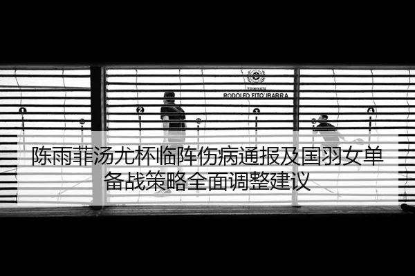 chen-yu-fei-tang-you-bei-lin-zhen-shang-bing-tong-bao-ji-guo-yu-nv-dan-bei-zhan-ce-lve-quan-mian-tiao-zheng-jian-yi-2-794.jpg